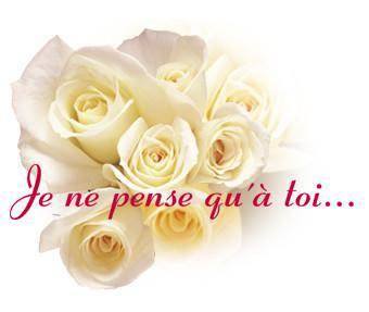 j p q a t...