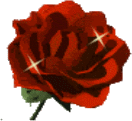 rose!!!!!!!!!!!!