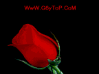 blog de nany