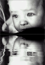  bébé