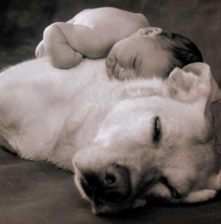 BéBé